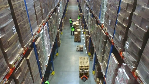 People work in a warehouse. Work with a modern warehouse. Workers move cardboard Stock-Footage 219488280