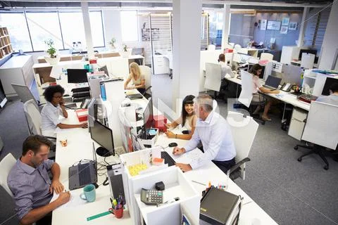 People Working In A Busy Office