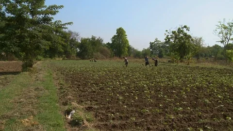 People working on a field Stock-Footage 112672387