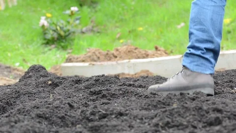 People working in garden digging dirt and soil with shovels Stock Footage 75341329