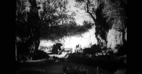 People working in garden Stock Footage 43442933