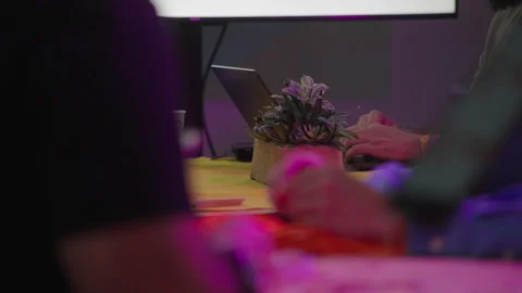 People Working on Laptops Stock Footage 322988924