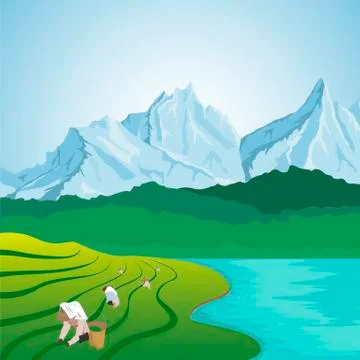 People working in the lush fields of a terraced farm Stock Illustration