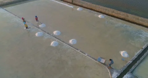 People working on the salt field Stock Footage 114744935