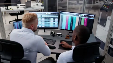 People Working With Spreadsheet Data Stock Footage 254843473