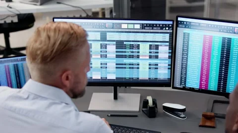 People Working With Spreadsheet Data Stock Footage 255870224