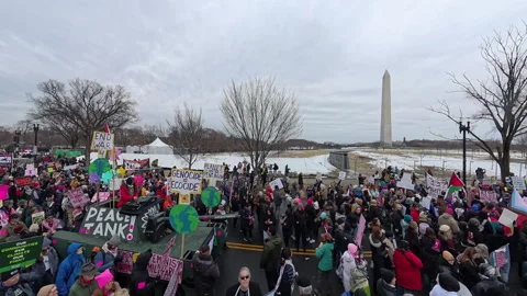People's March in Washington, D.C. Stock Footage 298829702
