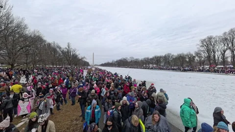 People's March in Washington, D.C. Stock Footage 298839074