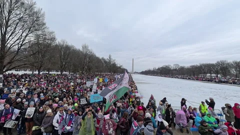 People's March in Washington, D.C. Stock Footage 298840595