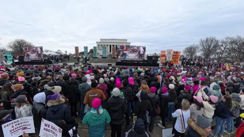 People's March in Washington, D.C. Stock Footage 298851145