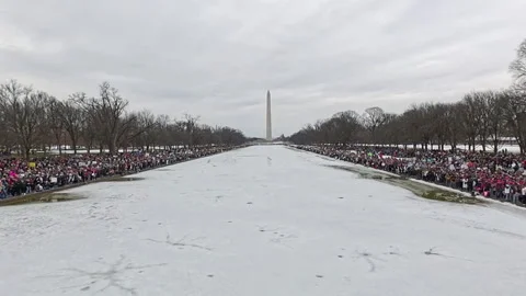 People's March in Washington, D.C. Stock Footage 298908468