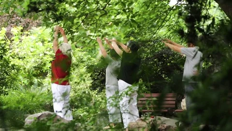 People's Park, Shanghai Video stock 71107182