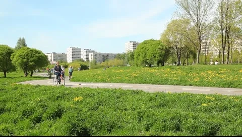 Peoples in the park, walk path in the grass Vídeo Stock 5377001