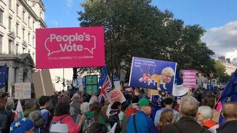People's Vote Protesters marching against Brexit deal Stock Footage 118277249