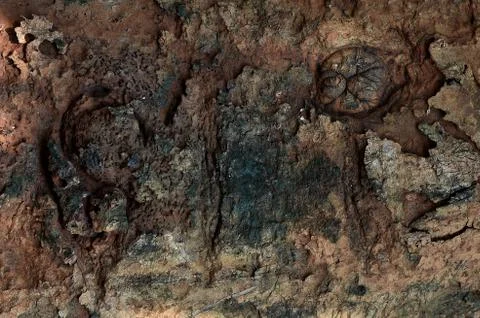 Pepagan is also called bark, which is the outermost layer of stems Stock Photos