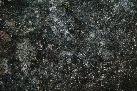 Pepagan is also called bark, which is the outermost layer of stems Stock Photos