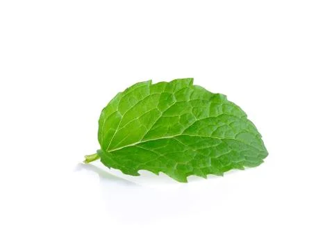 Peper mint isolated on the white background Stock Photos