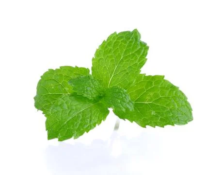 Peper mint isolated on the white background Stock Photos