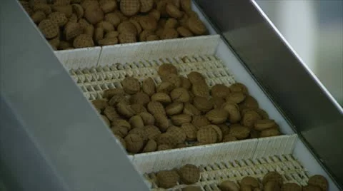 Pepernoot cookie factory Stock Footage 21329644