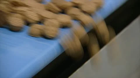 Pepernoot cookie factory Vidéo 21329662