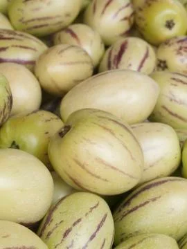 Pepino melon Foto stock