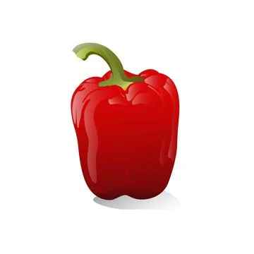 Pepper 3D vector illustration. Stock Illustration