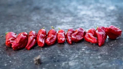 Pepper Alignment Stock Photos