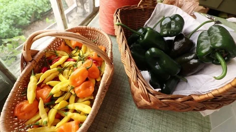 PEPPER BASKETS Video stock 102742776