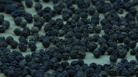 Pepper beans rotation 스톡 동영상 81271533