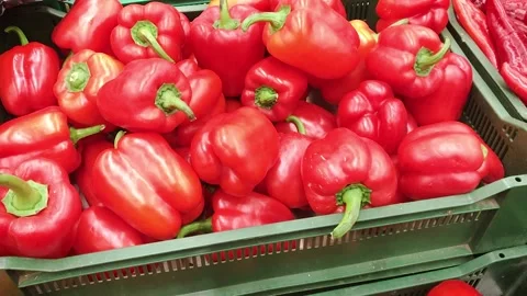 Pepper Bell in the box 스톡 동영상 259889417