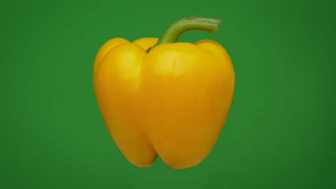 Pepper Bell - Moving Fresh Vegetable Stock Footage 157604146