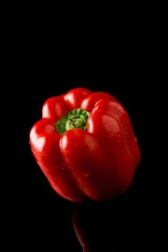 Pepper on black backround Stock Photos