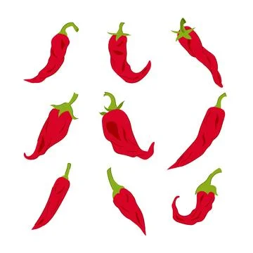 Pepper chili set cartoon vector illustration Stock Illustration
