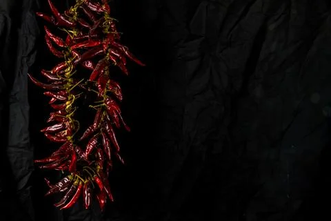 Pepper chilli string copyspace on right Stock Photos