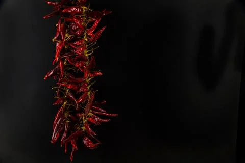 Pepper chilli string copyspace on right, landscape Stock Photos