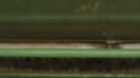 Pepper Cleaning Machine Stock Footage 61489662