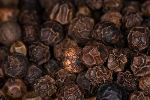 Pepper close up. Stock Photos