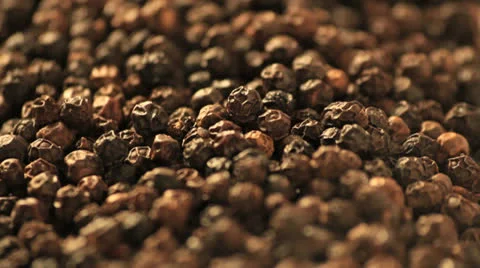 Pepper close up rotating in studio Vídeo Stock 24821414