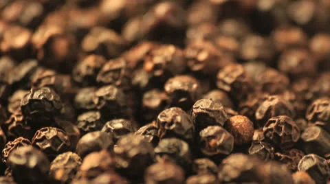 Pepper close up rotating in studio Vídeo Stock 24821415