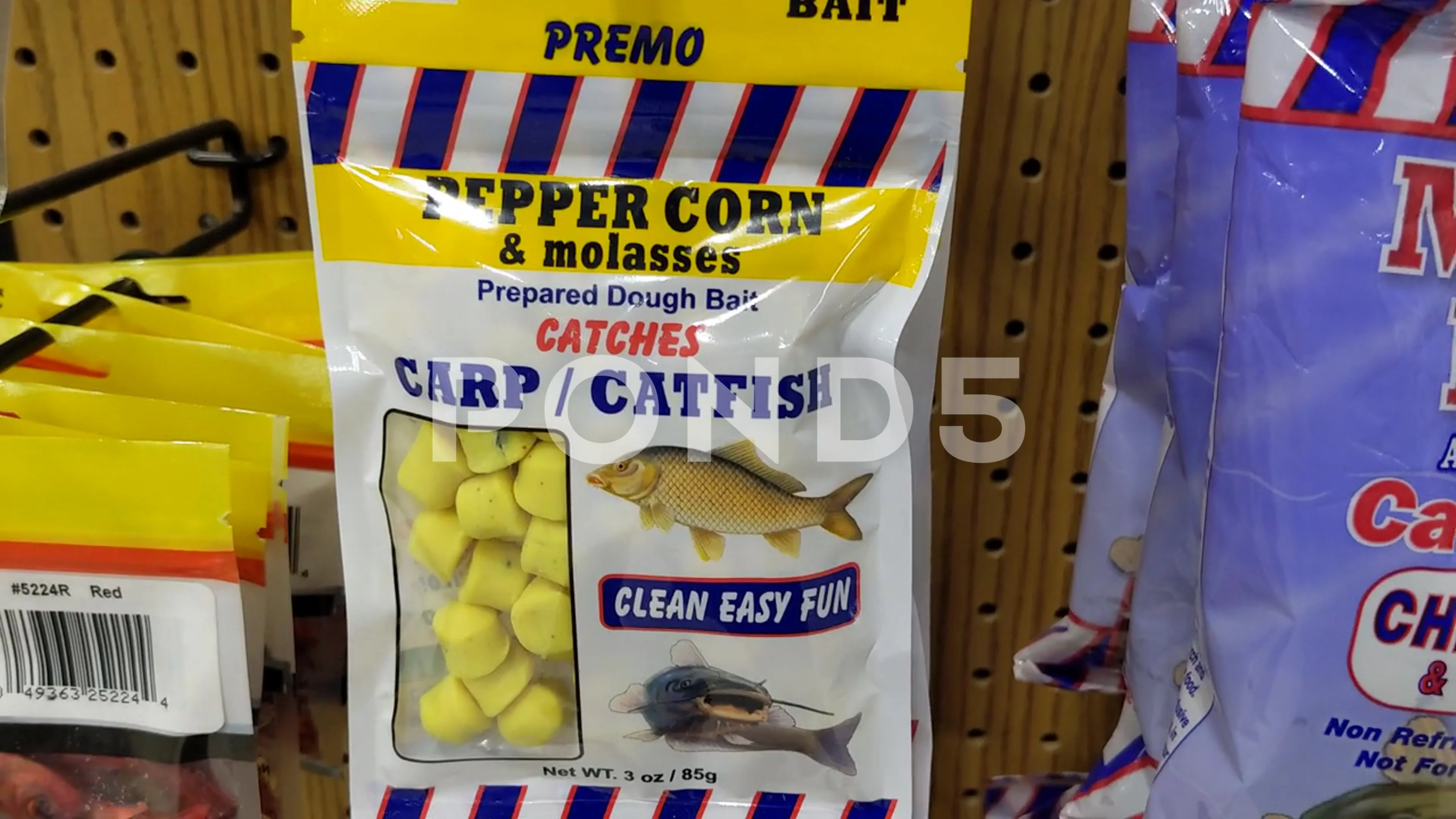 Pepper Corn and Molasses Carp and Catfis, Stock Video