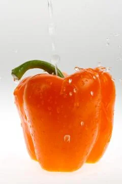 Pepper the covered drops of water Stock Photos