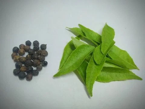 Pepper, curry leaf On A White Background Stock Stock Photos