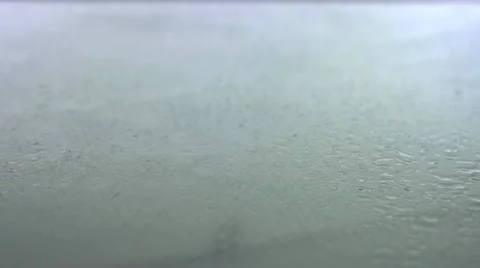 Pepper Dolly 스톡 동영상 11632929