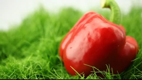 Pepper drops on the grass Video stock 10600301