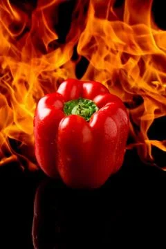 Pepper with fire background Stock Photos