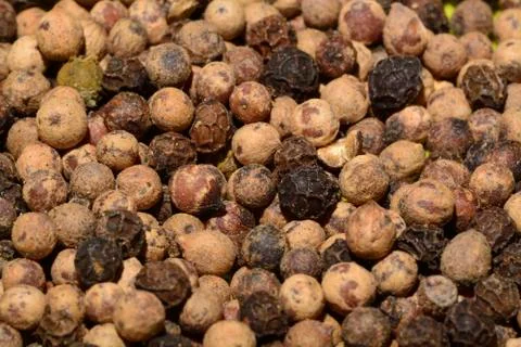Pepper grains Stock Photos