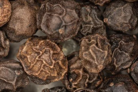 Pepper grains as a spice Foto stock