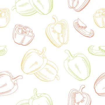 Pepper graphic color seamless pattern sketch illustration vector Stock Illustration