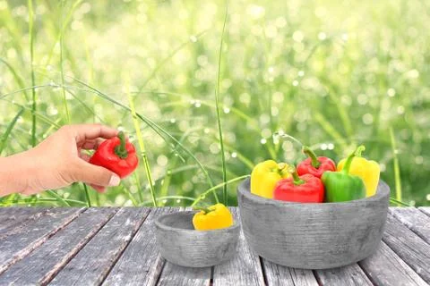 Pepper on grass background Stock Photos