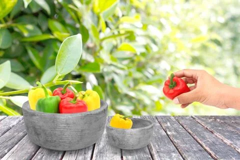 Pepper on grass background Stock Photos